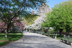 Riverside Park overview