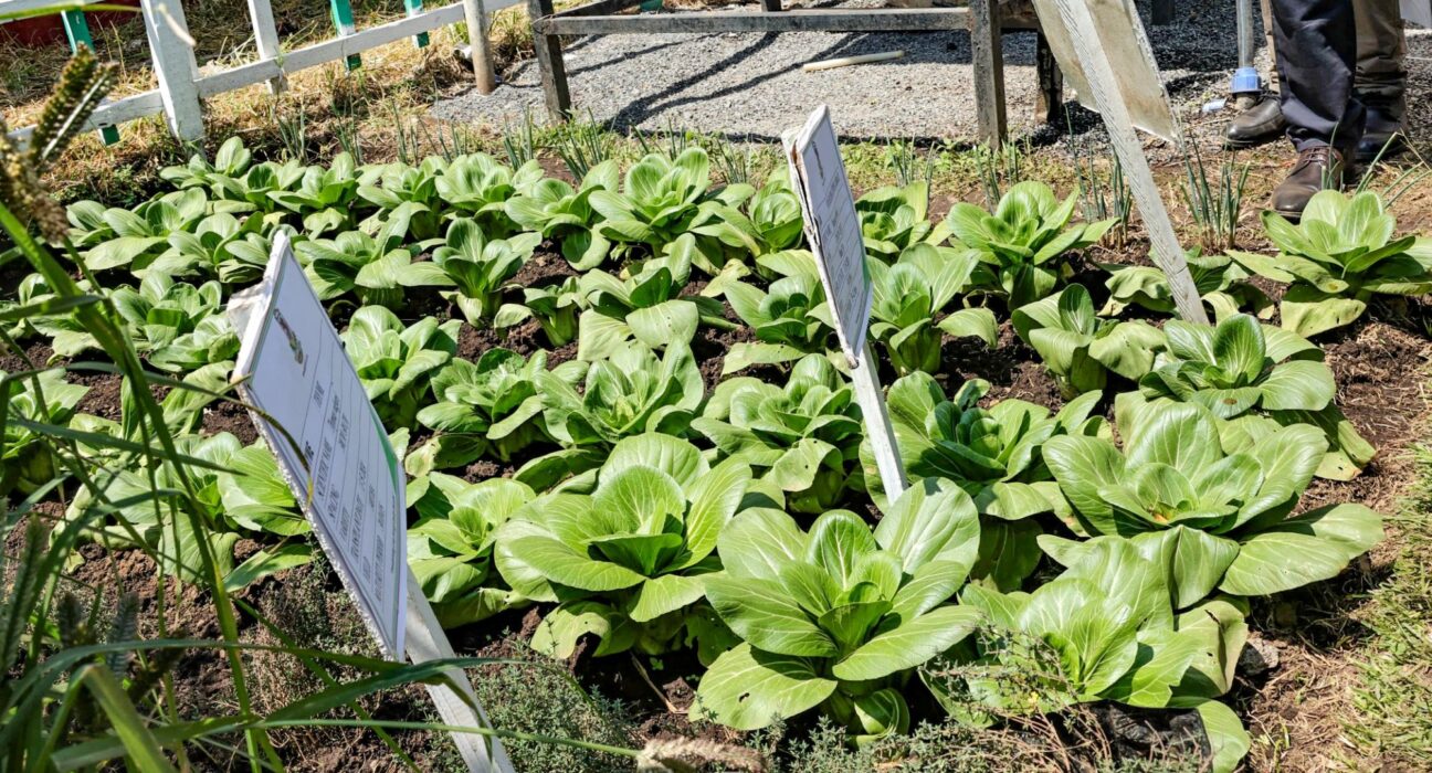 Kenya Joins Global Ranks with Food Safety Certification