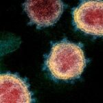 Mpox Case Reported in Trans Nzoia County