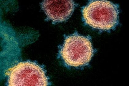 Zombie-Like Cells May Drive Long-Covid and Chronic FatigueZombie-Like Cells May Drive Long-Covid and Chronic Fatigue