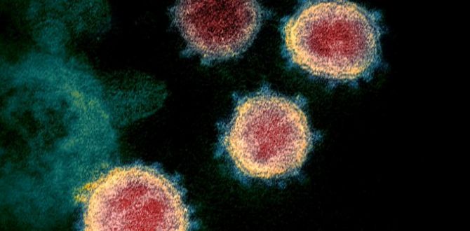 Zombie-Like Cells May Drive Long-Covid and Chronic FatigueZombie-Like Cells May Drive Long-Covid and Chronic Fatigue