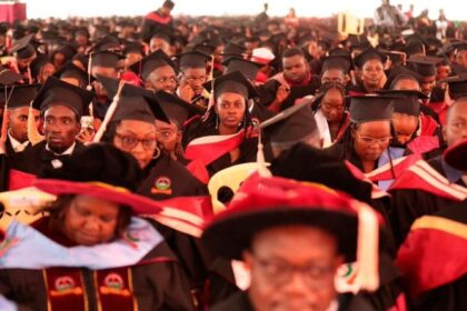 Audit Exposes Flaws in New University Funding Model