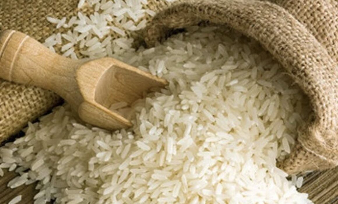 Duty-Free Rice Imports Threaten Kenyan Farmers
