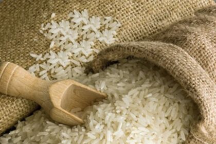 Duty-Free Rice Imports Threaten Kenyan Farmers