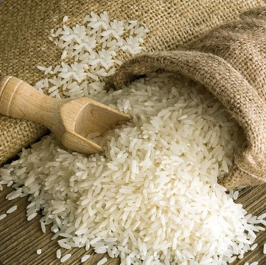 Duty-Free Rice Imports Threaten Kenyan Farmers