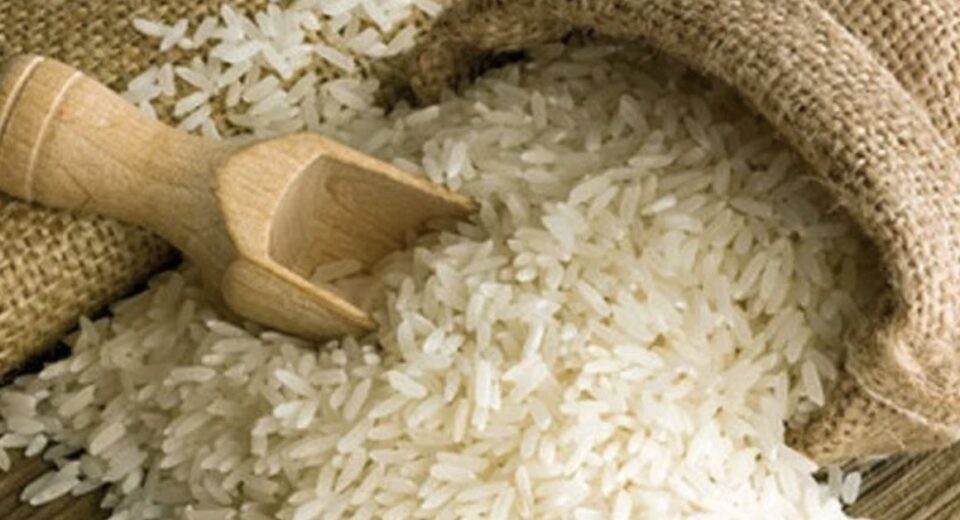 Duty-Free Rice Imports Threaten Kenyan Farmers