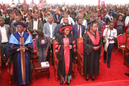 Understanding the New Public University Tuition Cuts