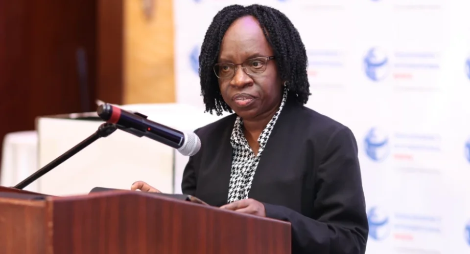 Audit uncovers billions missing on eCitizen portal