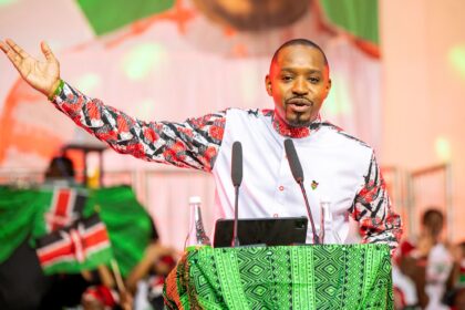 Boniface Mwangi Seeks Public Funds for 2027 Bid