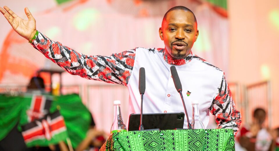 Boniface Mwangi Seeks Public Funds for 2027 Bid