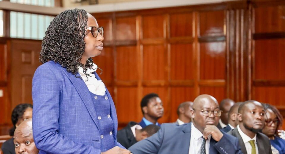 LSK President Under Fire Over Government Appointment