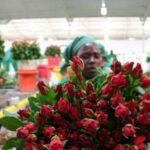 Gov’t Allocates Ksh2.5B, Urges UASU to Call Off Strike