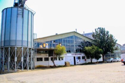 Keroche Sues Ex-MD Sam Shollei for Sh10 Billion Over Liquidation Ad