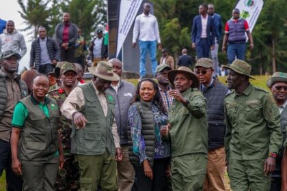 Ruto Lifts Logging Ban in Mau Forest