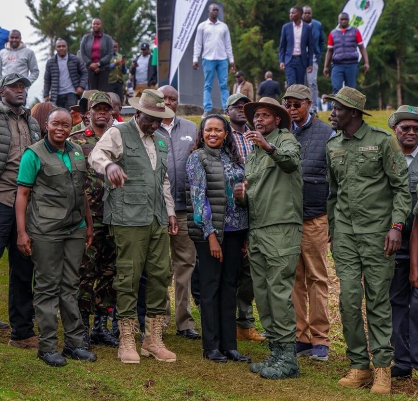 Ruto Lifts Logging Ban in Mau Forest