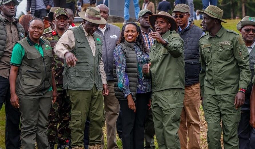 Ruto Lifts Logging Ban in Mau Forest