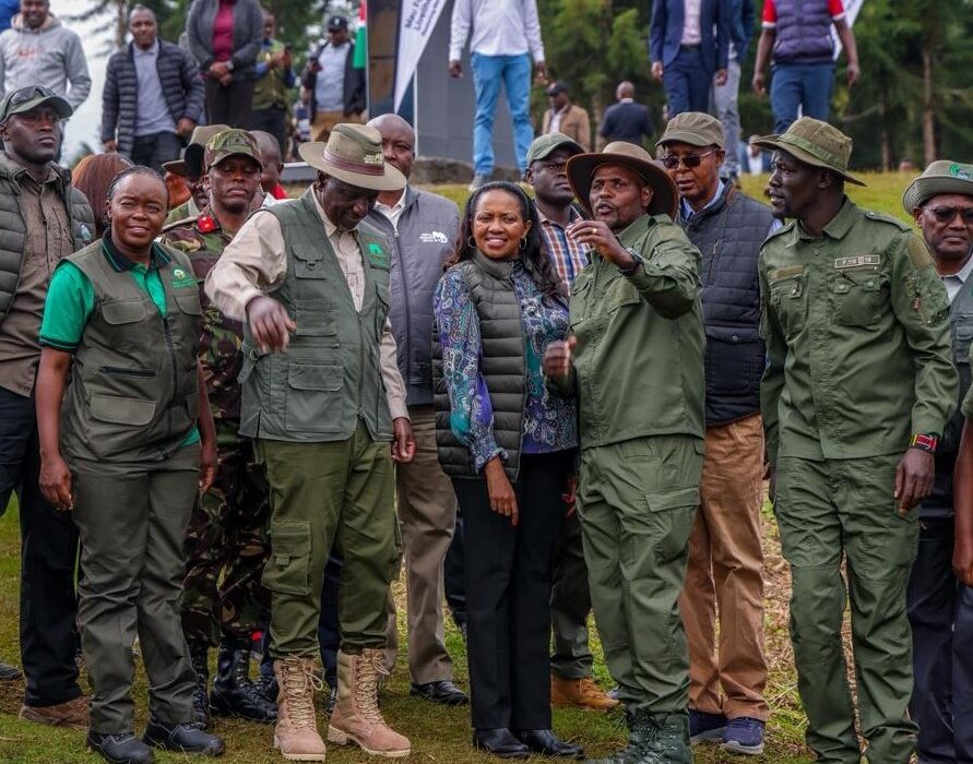 Ruto Lifts Logging Ban in Mau Forest