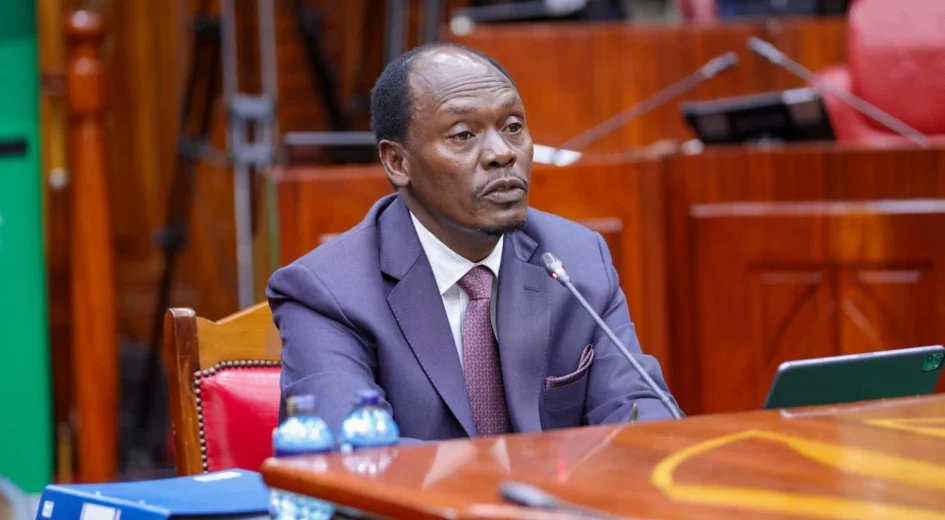 CS Kabogo backs cybercrime law amid outcry