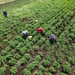 Kenya Steps Up the Fight Against HIV as Youth Infections Rise