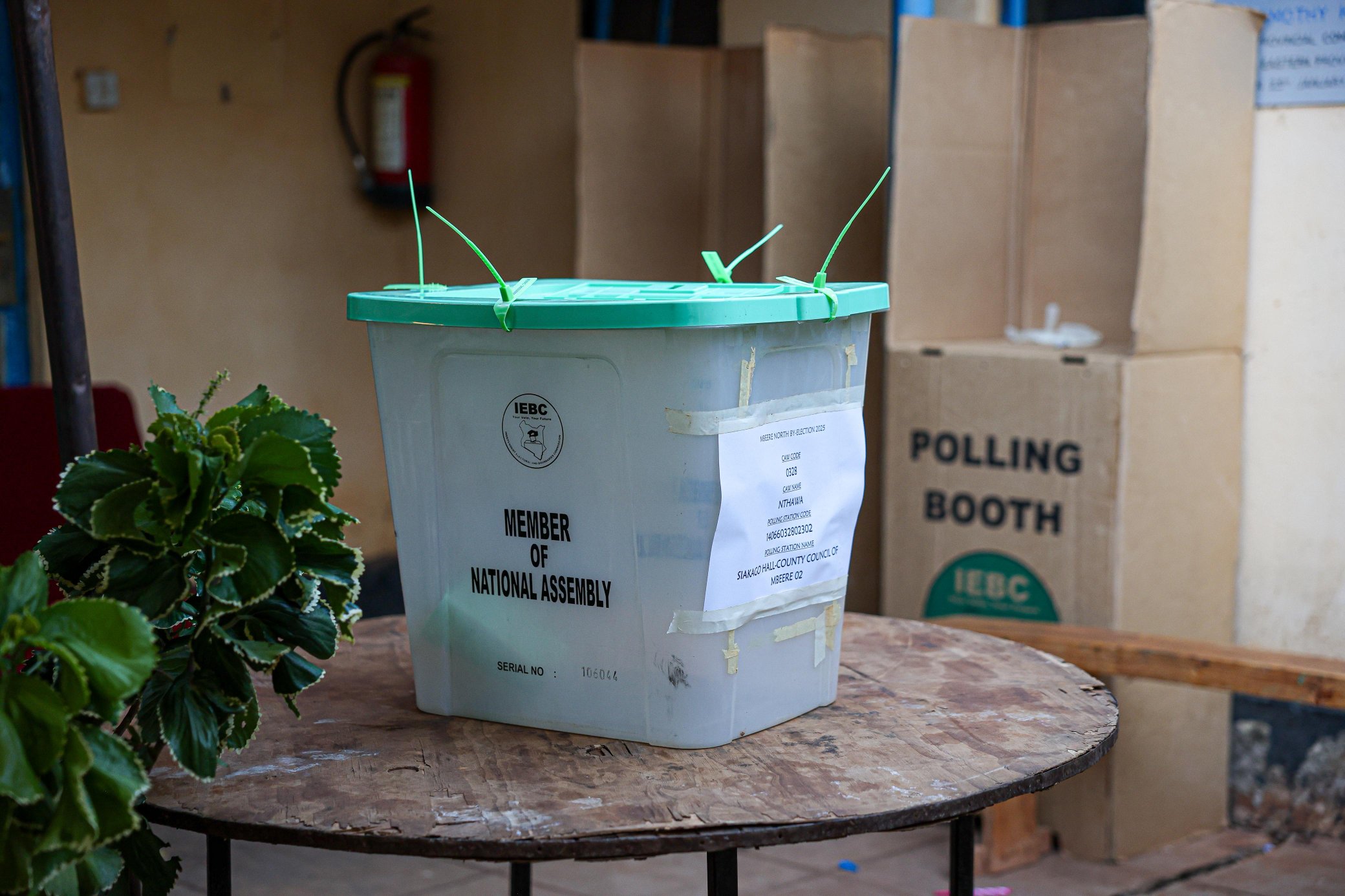 Protecting Democracy at the Ballot